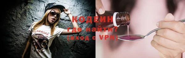 гидра Ельня