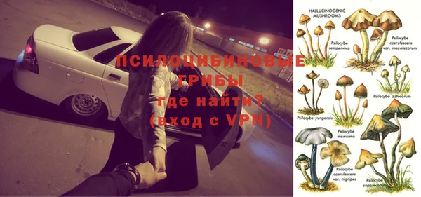 мяу мяу мука Горняк